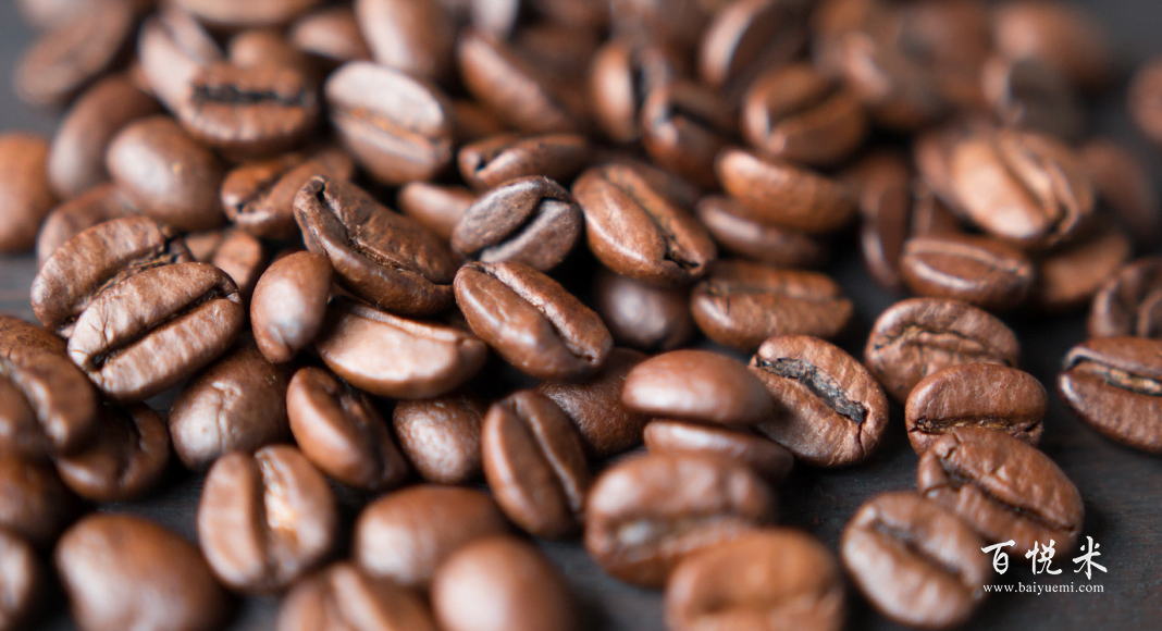 蓝山咖啡就是铁皮卡？来看看这些经典的咖啡豆都源于哪个品种